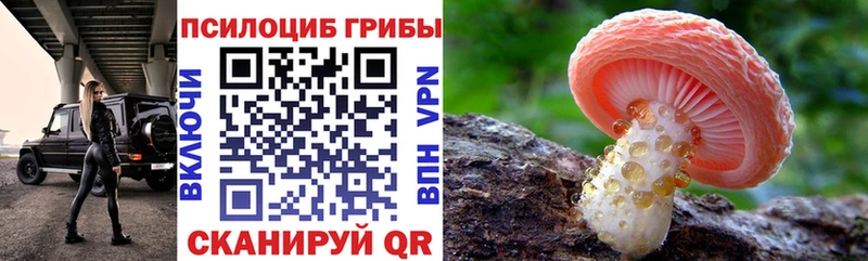 цена Октябрьск Псилоцибиновые грибы прущие грибы